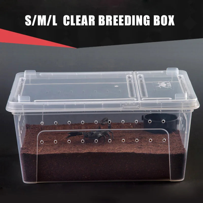 Reptile Breeding Feeding Box Transparent Insect Rearing Hatching Containers Habitat Cage For Spider Lizard Turtle Small Animals