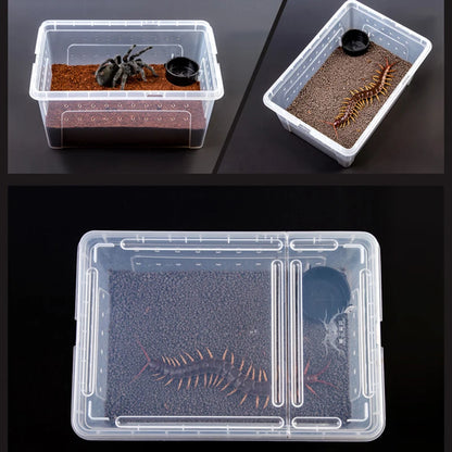 Reptile Breeding Feeding Box Transparent Insect Rearing Hatching Containers Habitat Cage For Spider Lizard Turtle Small Animals