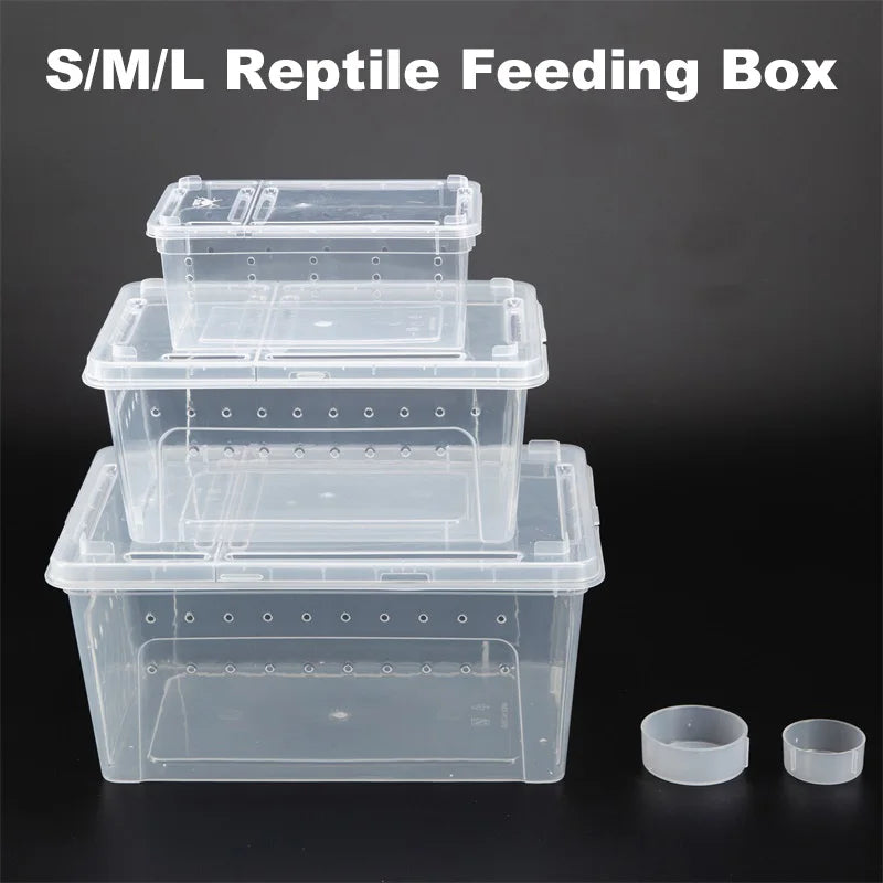 Reptile Breeding Feeding Box Transparent Insect Rearing Hatching Containers Habitat Cage For Spider Lizard Turtle Small Animals